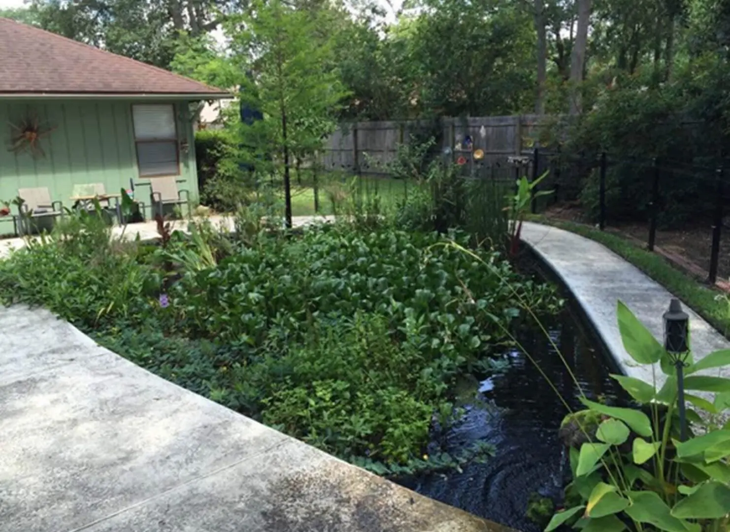 Small pond in the middle of a backyard surrounded by lush green grass, trees, and plants