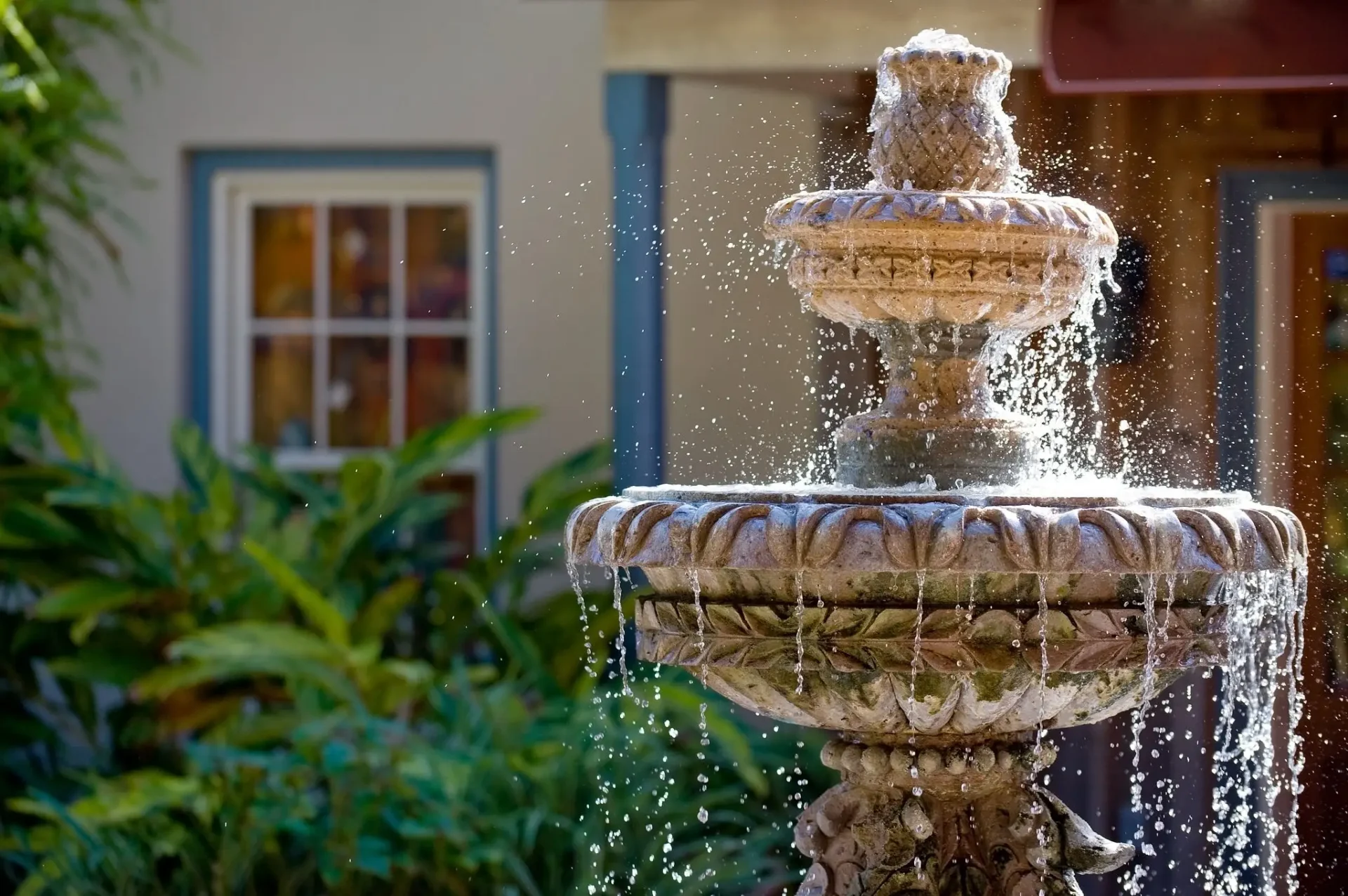 Fountain in the middle of a garden surrounded by lush plants and a building with windows
