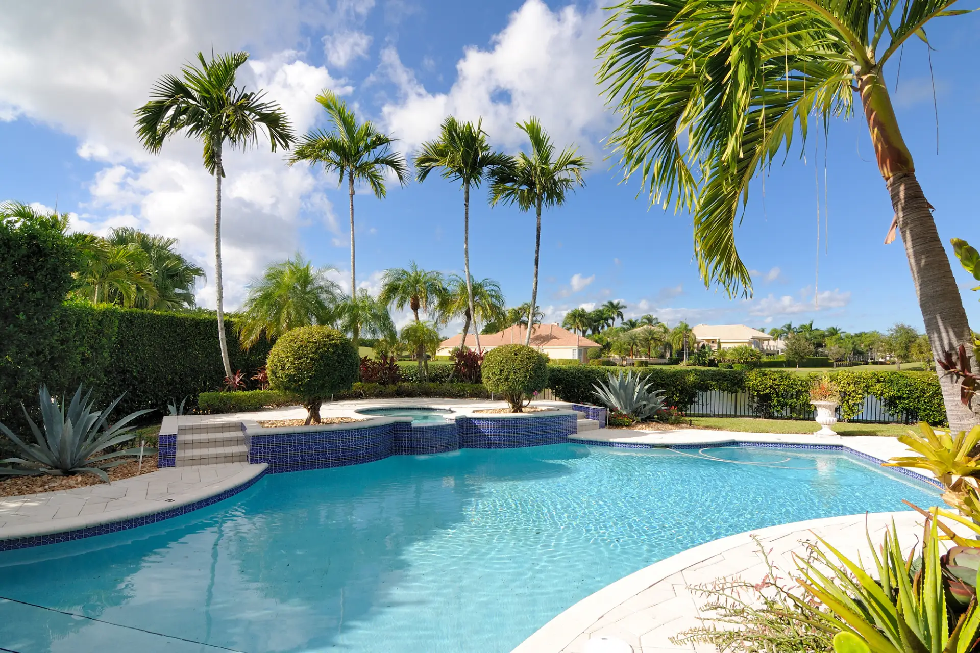 Large swimming pool surrounded by lush palm trees and bushes, with a few buildings in the background